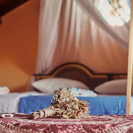 Couette-café Nordic Dream Kalkan