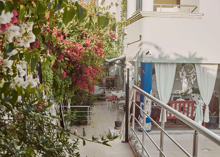 Nordic Dream Отель типа 