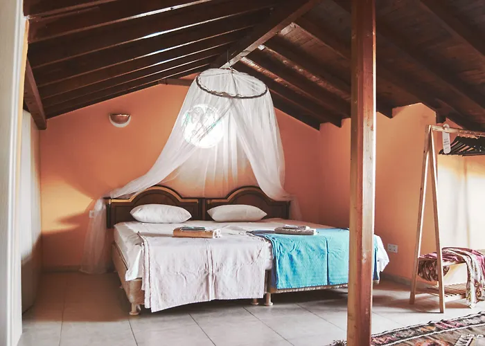 Nordic Dream Отель типа 